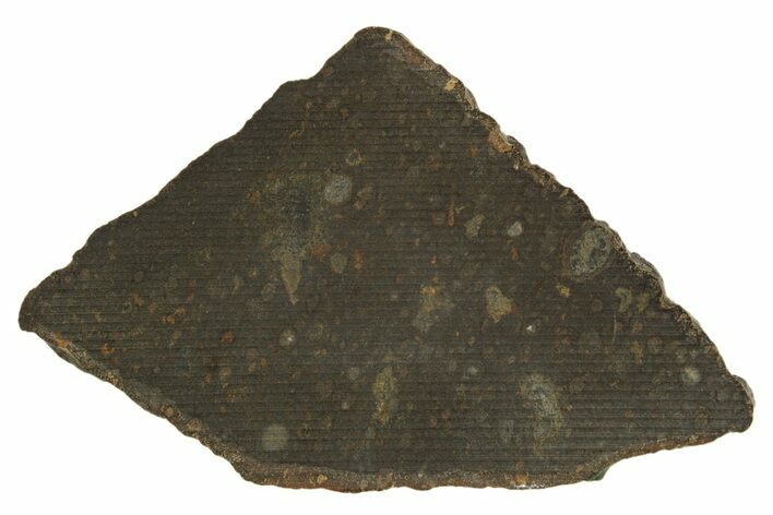 Carbonaceous Chondrite Meteorite ( g) Slice - NWA #308383